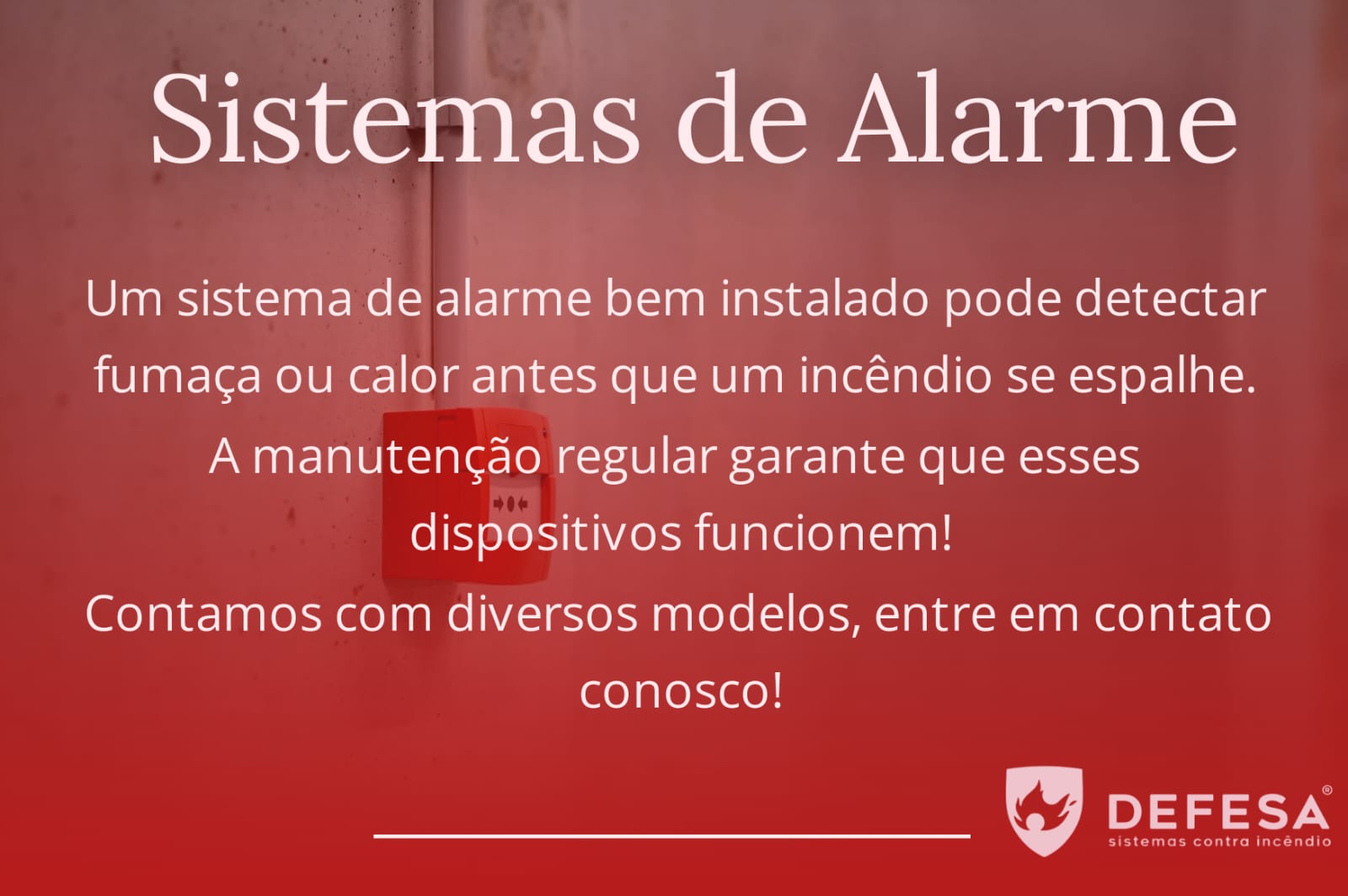 WhatsApp Image 2024-11-21 at 15.15.14_6091fadc.jpg