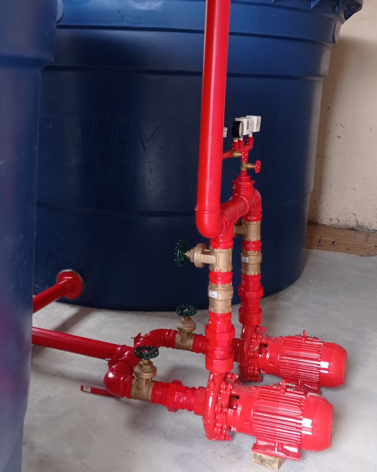 WhatsApp Image 2024-12-19 at 15.37.27_3d88ba5f.jpg