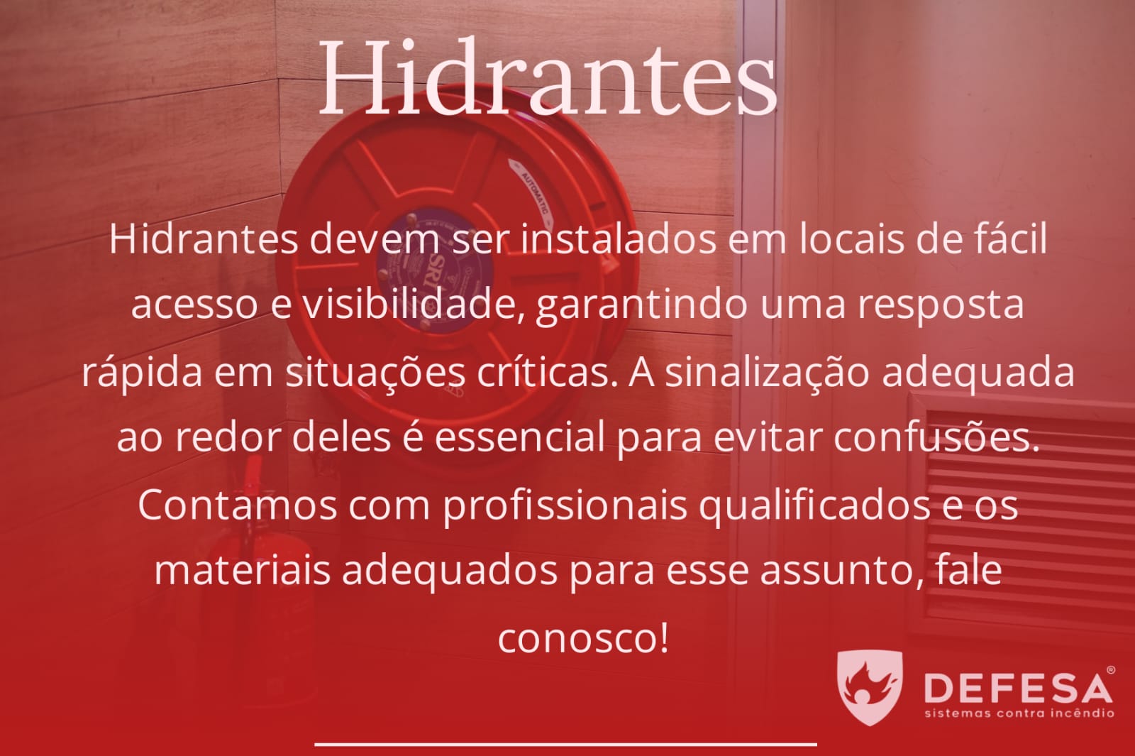 WhatsApp Image 2024-11-21 at 15.15.16_e471b06b.jpg