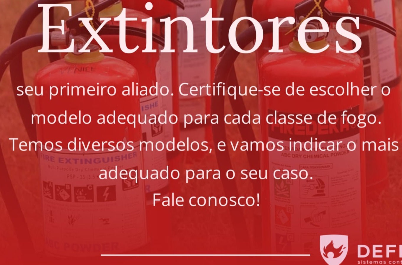 WhatsApp Image 2024-11-21 at 15.15.11_0d51fc53.jpg